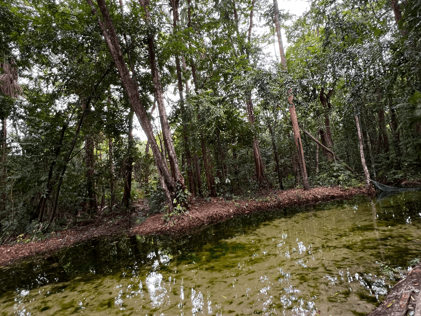 Turismo sustentável: preservando a APA Maiandeua